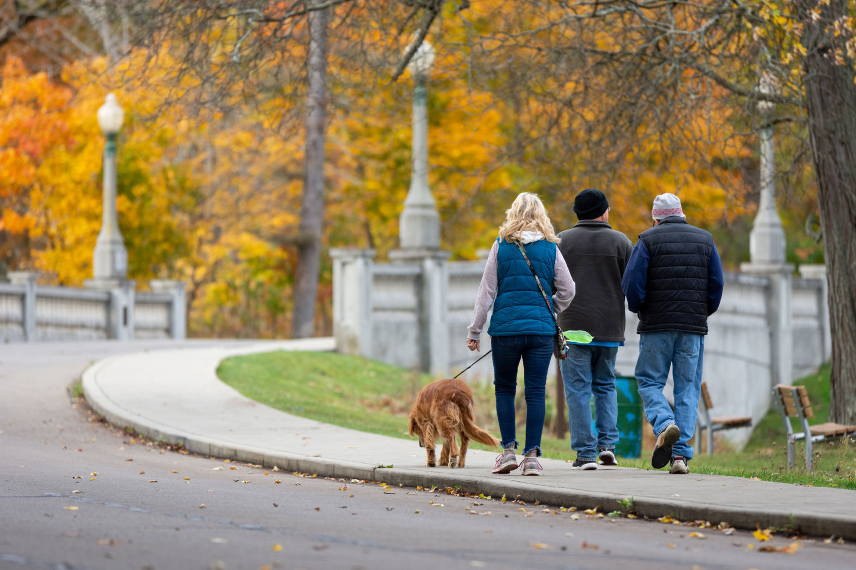 Stroll in the park
